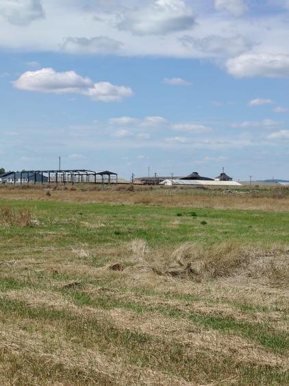 Teren intravilan industrial – Tomești, zona Contom - 3