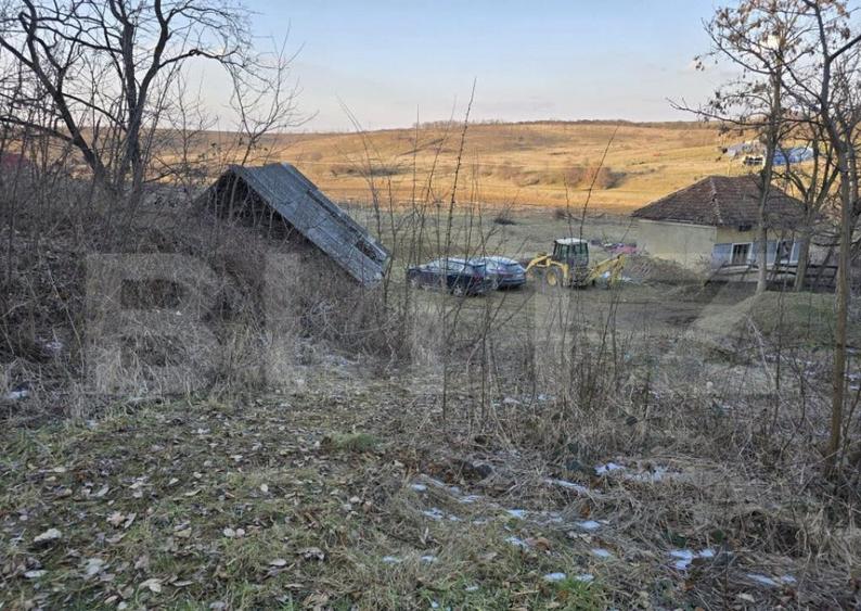 Teren intravilan 7.9 ha. Sandra - 30