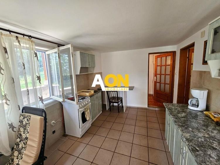 Casa tip cabana de vacanta, 5 camere, 2300 mp teren, zona Schit - 8