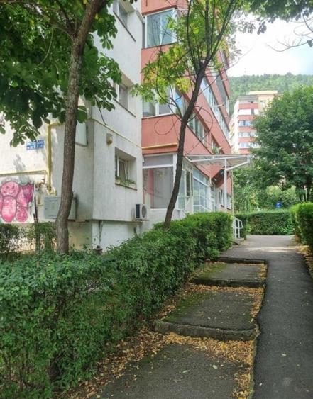 Inchiriere Spatiu Comercial - 5