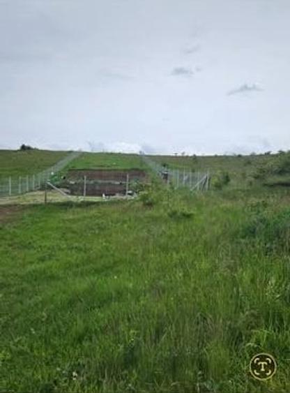 Vand 9 ari teren intravilan, Sancraiu de Mures, aproape de padure - 2