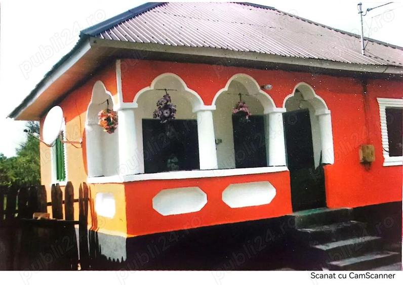 Vand Casa plus teren si pasune - 2