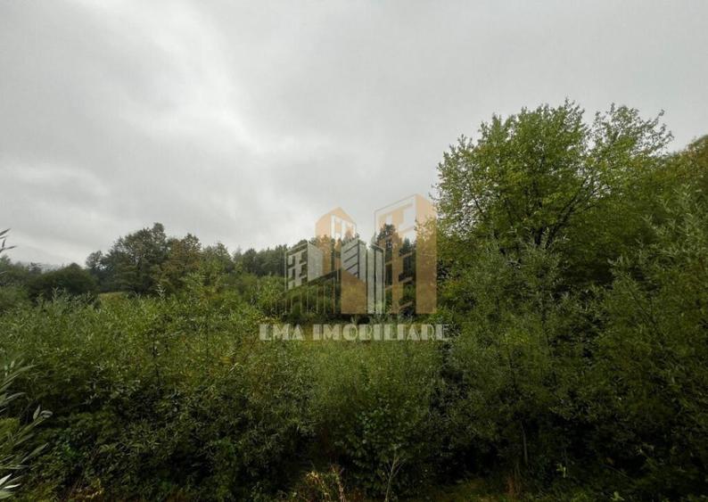 Teren intravilan Sinca Noua - 7