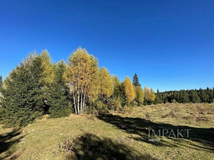 Teren intravilan de 2001 mp în Calatele Padure, comuna Calatele! - 3