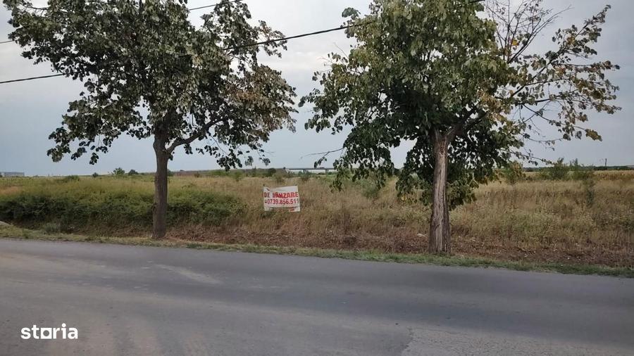 30.000 mp cu PUZ intre Lidl & Jambo Ghiroda Aeroport | P+3E | 5 - 10