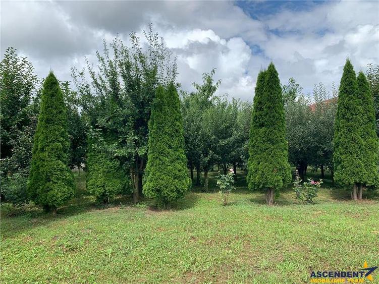 FILM!1.409 mp teren intravilan,livada, utilitati,locatie premium:rezidential/ co - 4