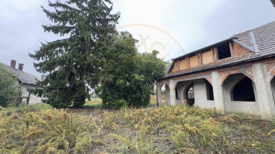 Cladire 12 incaperi, Teren 3.457 mp Str.Iuliu Maniu Nr.13 -Carei- Jud. Satu Mare - 7