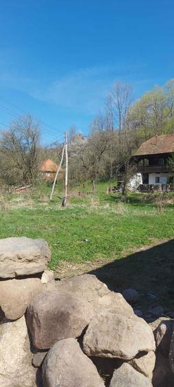 Vanzare proprietate zona montana jud. Alba - 4