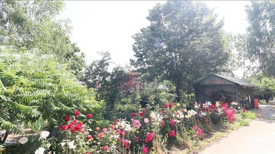 Casa deosebita in V.Lupului - 30