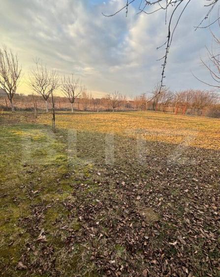 Teren intravilan 6,52 arii cu cabana zona Paule?ti - 6