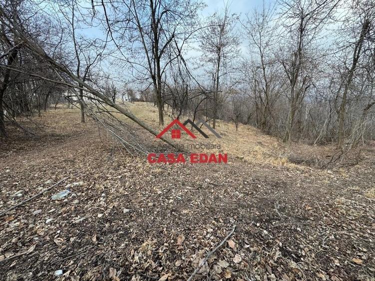 Teren intravilan in Cornu--3074m--90.000e - 1