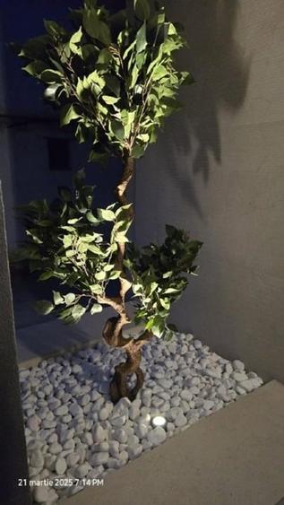 Propr, vand apartament 3 cam Complex, Facultatea Drept Timisoara - 16