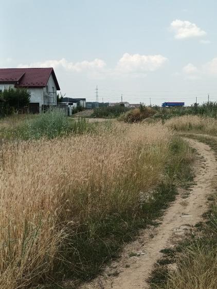 Vand teren intravilan în Rosiori de Vede - 6