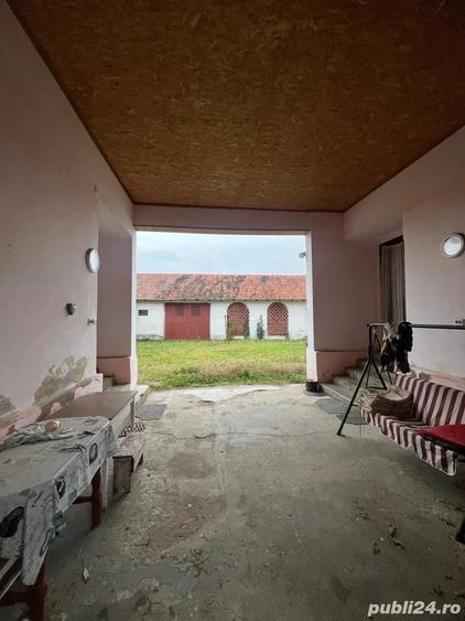 Casa individuala 5 camere 1439mp , curte, mobilata , Sintesti Timis - 6