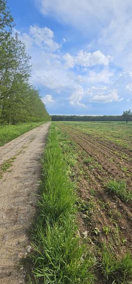 Teren intravilan - 4752 mp - 8 loturi de 594 mp - com Gruiu-Lipia - km 31 A3 - 4