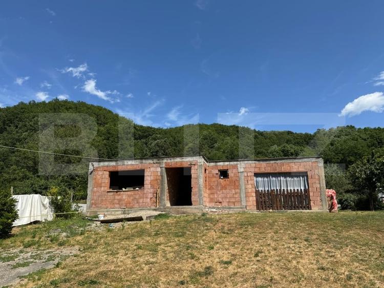 Casa cu 2 camere 53 mp in Lesnic, COMISION 0 PENTRU CUMPARATOR - 3