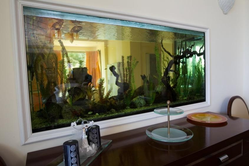 Viață la Superlativ – Vilă Spațioasă cu Piscină, Jacuzzi și Teren de Baschet - 10