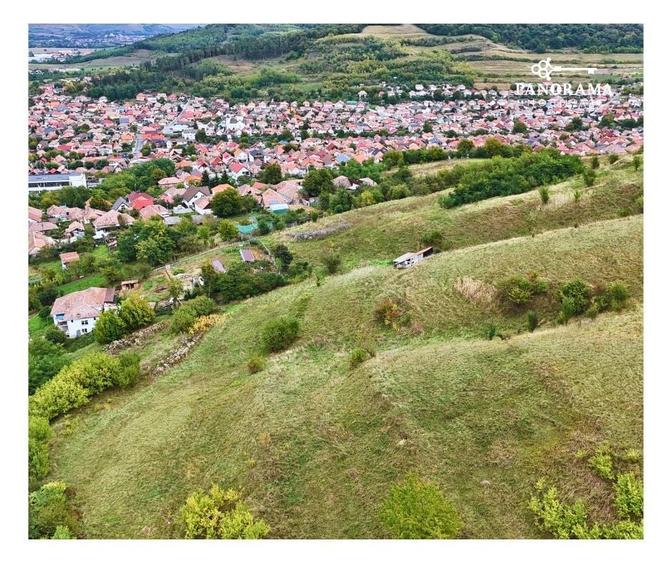 Teren intravilan de aproape 3 ha la liziera pădurii | cartierul Gloria - 5