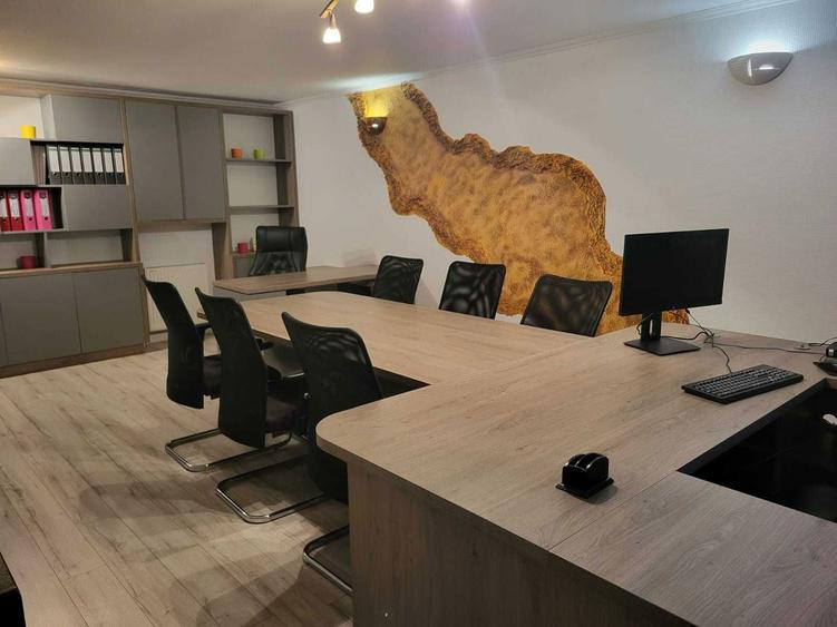 Casa D+P+1+Pod 600 mp teren Complet mobilata Calea Bihorului Oncea - 3