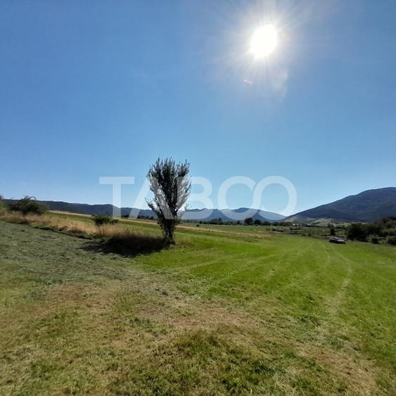 Teren 2400 mp cu deschidere 18 m in Orlat oportunitate investitii - 9