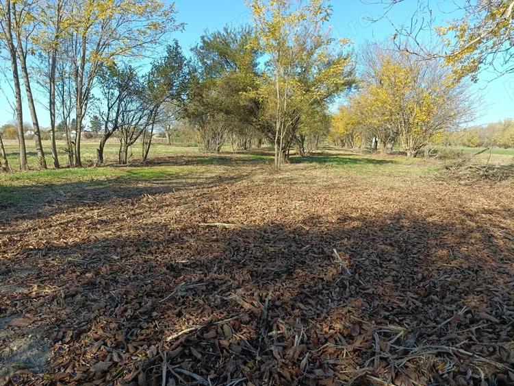 Oaza de liniste: Proprietate generoasa cu poten?ial de Investi?ie Locuin?a - 6