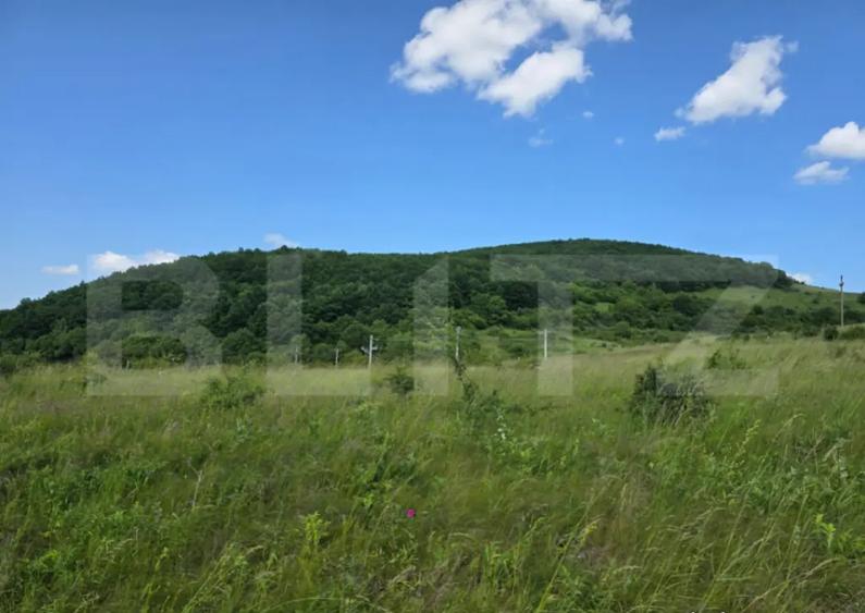 Teren potrivit pentru investitie in zona complexului Domeniu - 1