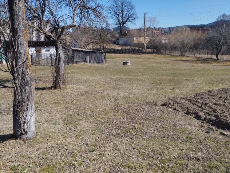 Vand casa de locuit si anexe - 3