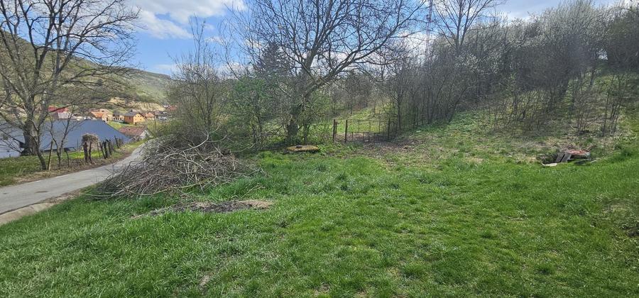 Vermes Teren Intravilan - 7