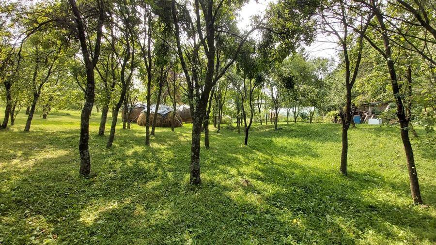 Oportunitate vanzare 6000 mp teren drept,superb toate utilitatile Breaza Prahova - 4