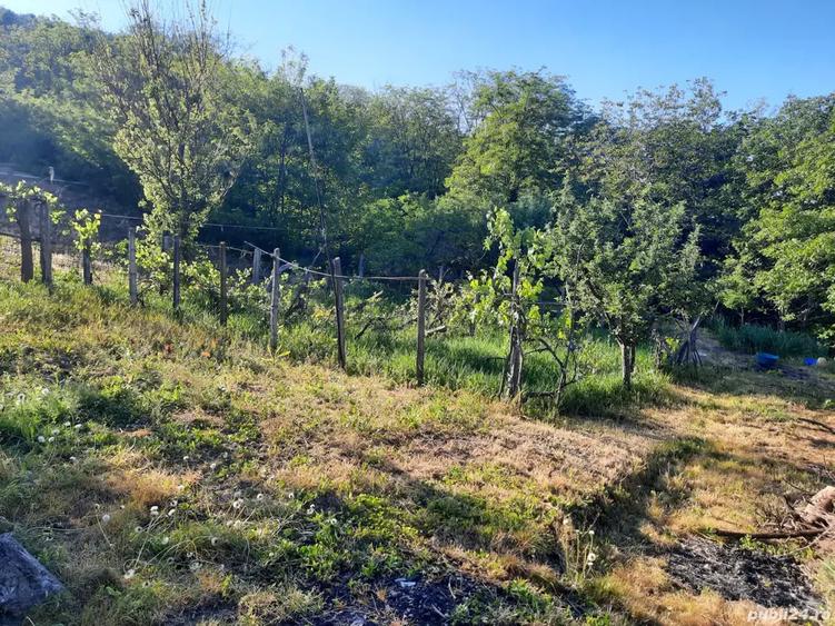 Proprietar vand casa Hemeius - 5