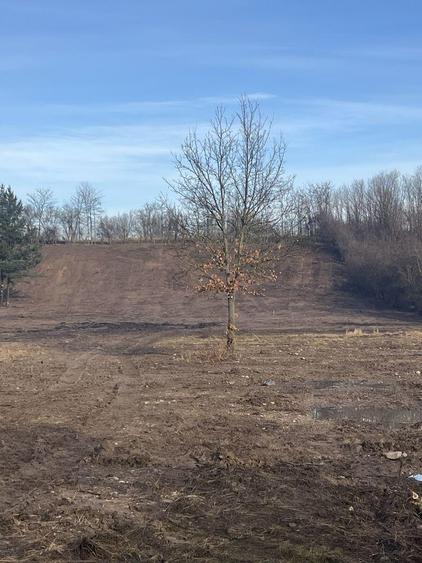 Vand teren Zervesti, comuna Turnu Ruieni - 4