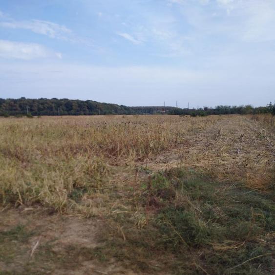 VANZARE TEREN COM BALOTESTI, SAT SAFTICA - 9