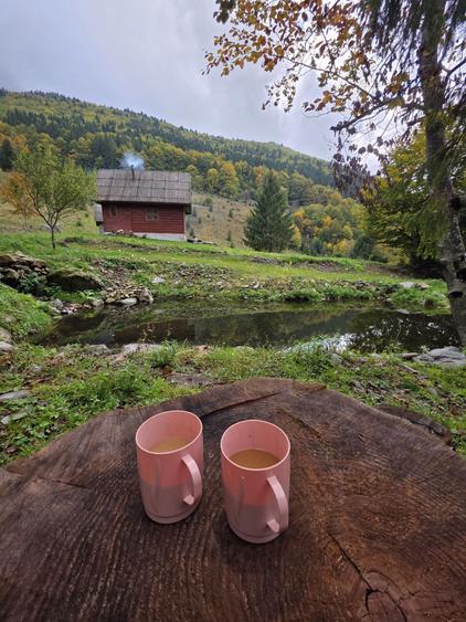 Teren Lunca Visagului - 7