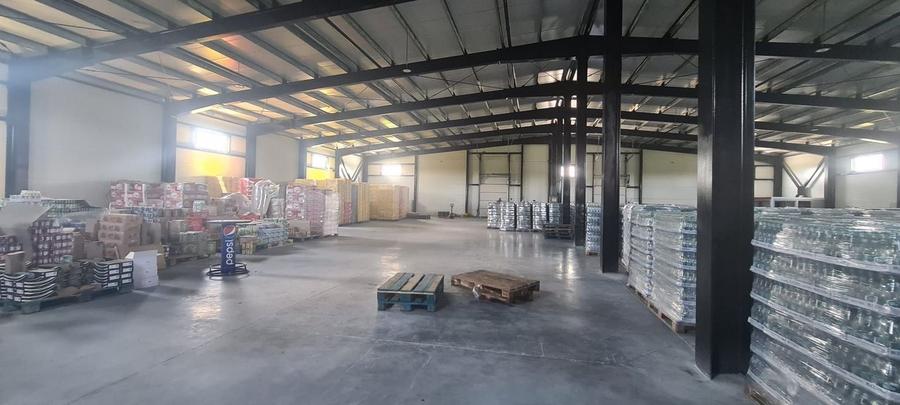 Hală industrială, platformă betonată, 300 mp - 10