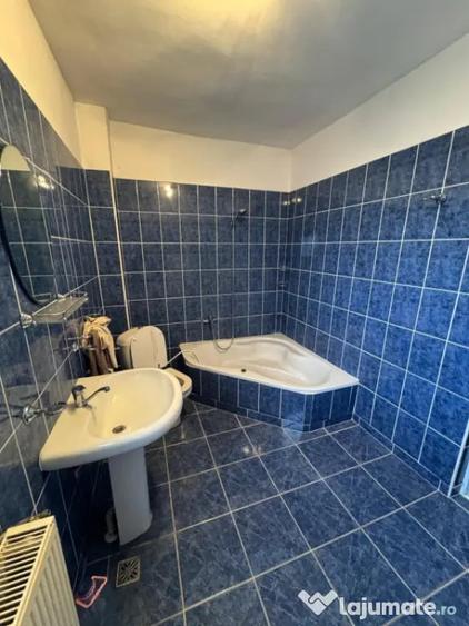 Casă cu 3 camere cu Teren 3300 Mp în Coltău