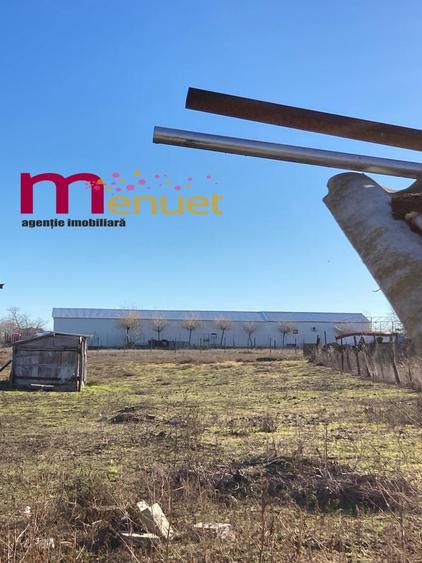 Casa Murighiol, Teren 2000 mp, zzona Centrala - 3