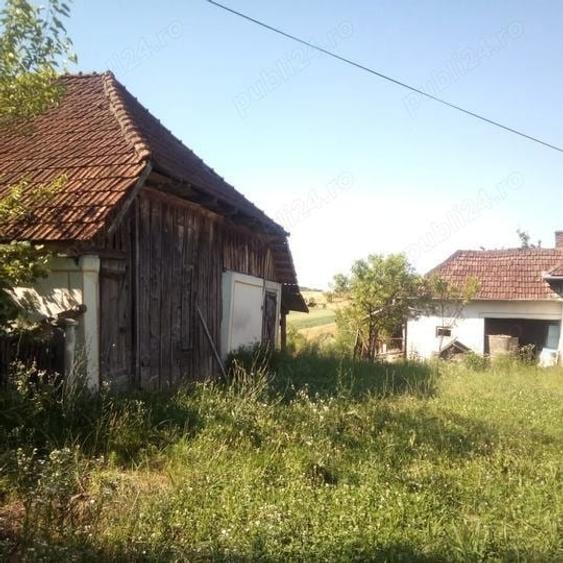 Loc. Basesti (jud. MM) casa de vanzare cu 8.000 mp teren - 1