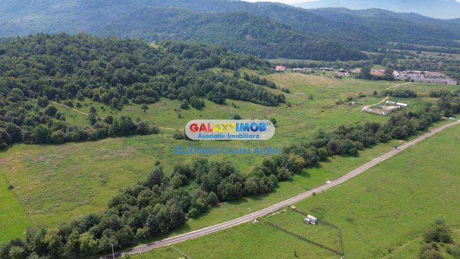 Vindem teren 20000 mp Cheile Rasnoavei - Brasov , pentru case vacanta - 4