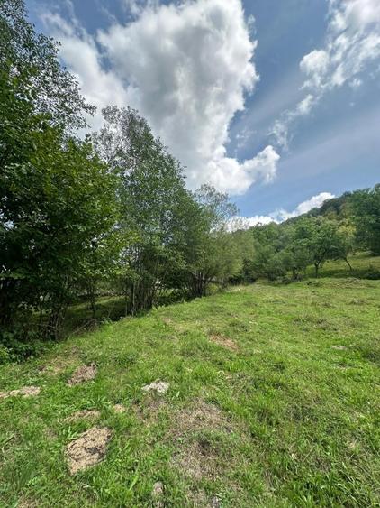 Teren 2 hectare pe Valea Ariesului, zona Scarita-Belioara, pret oportun 2 Eur/mp - 2