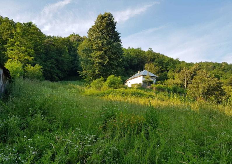 Teren 7000mp Pucioasa - Zona Pitoreasca - 13