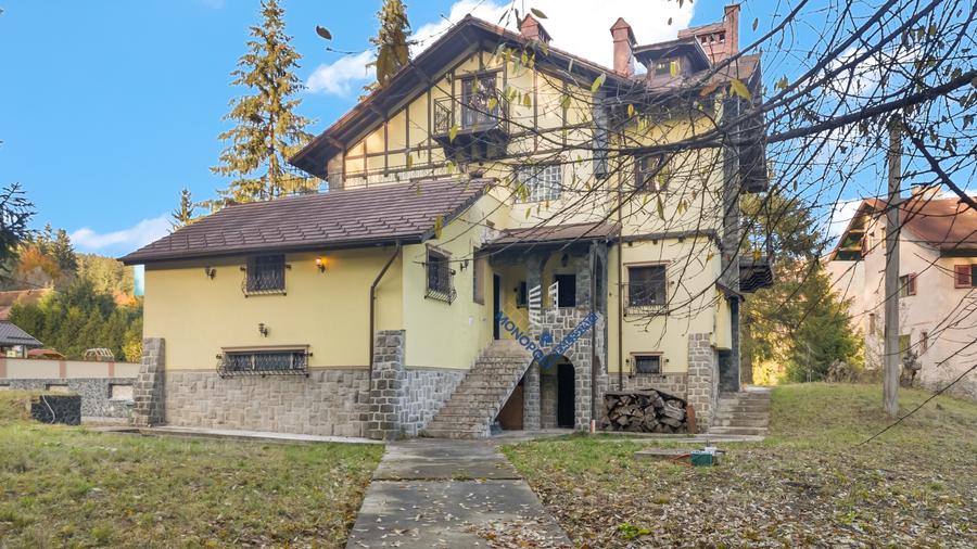 Proprietate cu potențial uriaș - Timișul de Sus - Brașov - 4