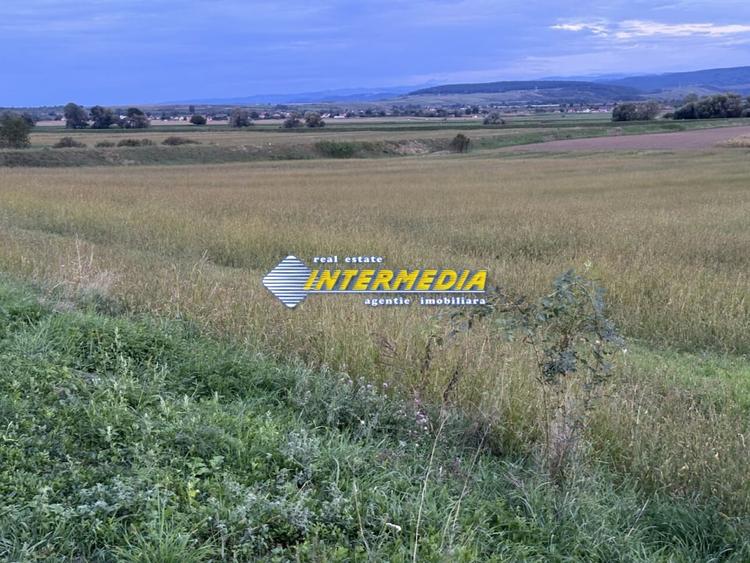 OKAZIE ! 2300 mp. Teren Intravilan Mereteu lat 22 m toate utilitatiile in fata - 6