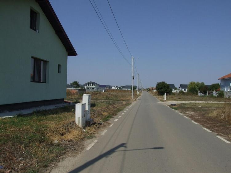 Domnesti-Salciei-stradal - 2