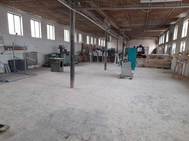 O resedinta spatioasa cu 2375mp de teren si hala de productie in suprafata de 800mp - 7