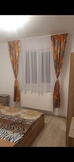Proprietar închiriez apartament cu două camere - 8