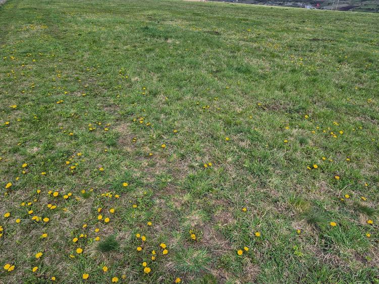 PF Vand teren constructii zona Calea Baciului - 5