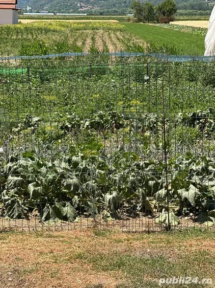 De VANZARE Casa si teren - 1