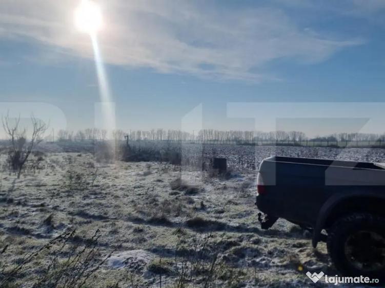 Teren cu livada Nuci- Oportunitate investitie- CioraniPh - 8