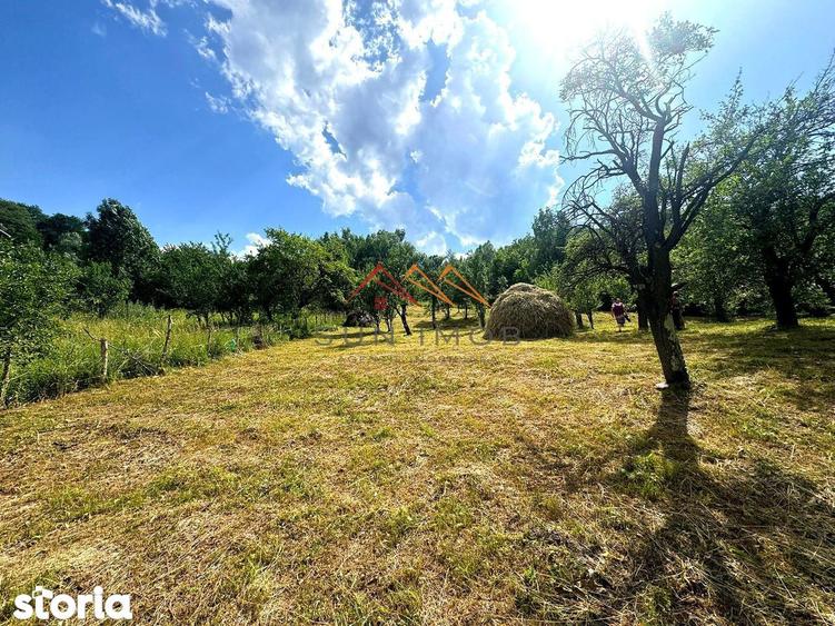 Teren 2037 mp, 17 ml deschidere, 28 euro/m2, vedere panoramica - 4