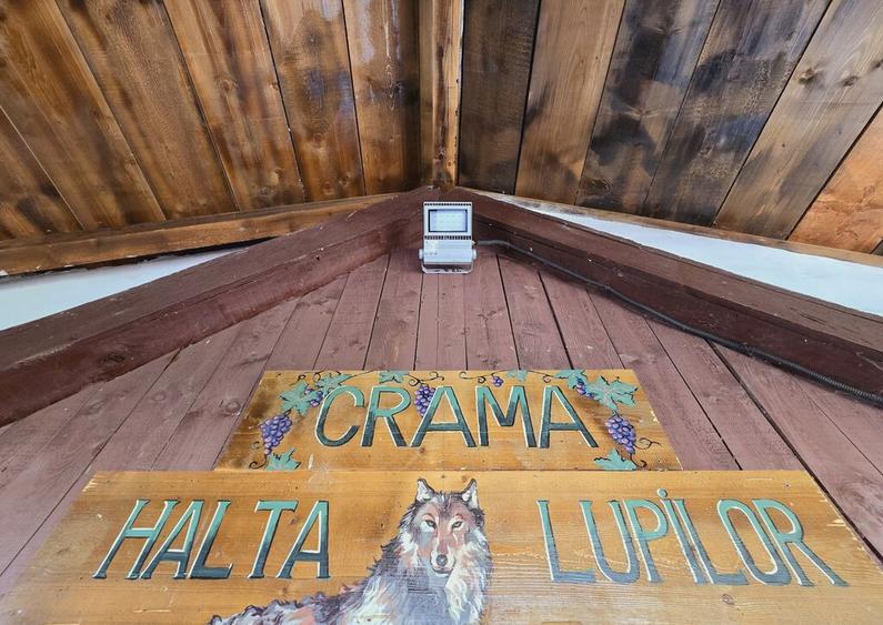 Vie Tradi?ionala Halta Lupilor - 9